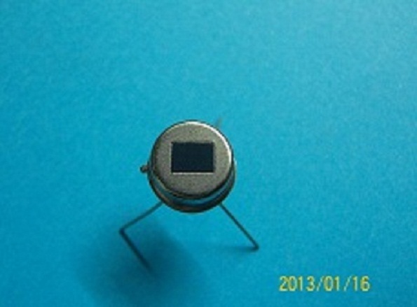 RE200B PIR Human Motion Sensor